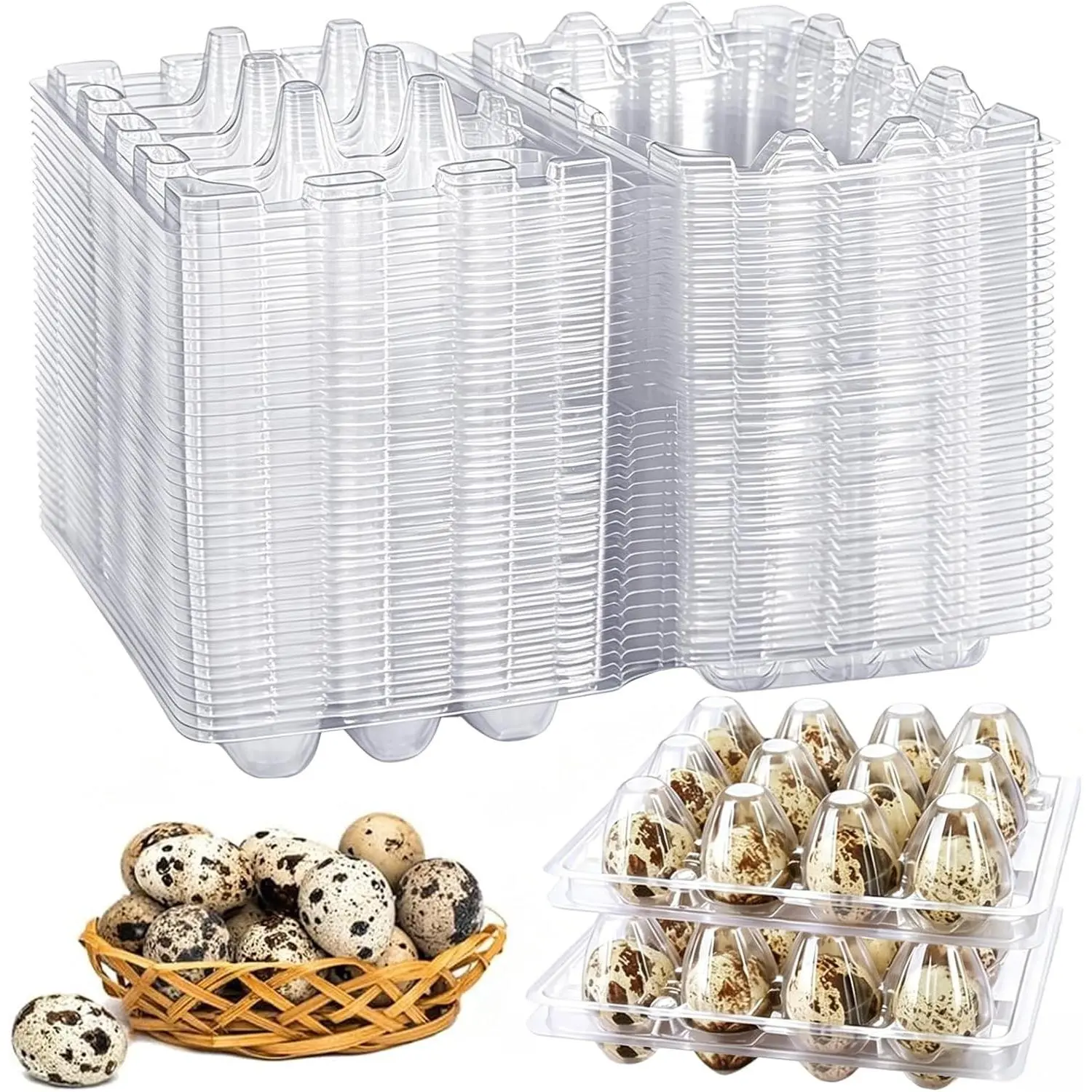 Affordable Reusable Plastic Quail Egg Cartons - 50-Pack 12-Grid Holders for Pheasant, Pigeon Small Eggs Storage, Convenient for Grocery Stores, Home Use