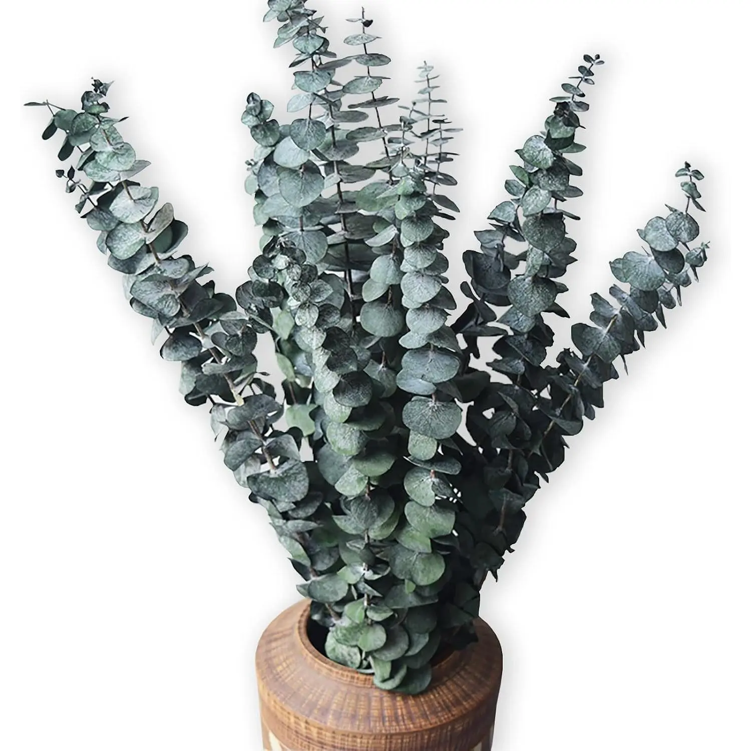 Eucalyptus for Shower 10 count  Dried Eucalyptu Stems 17" Real Eucalyptus Bundle  Made from  Eucalyptu Wedding Decor  Decor  Room Decor DIY Artificial
