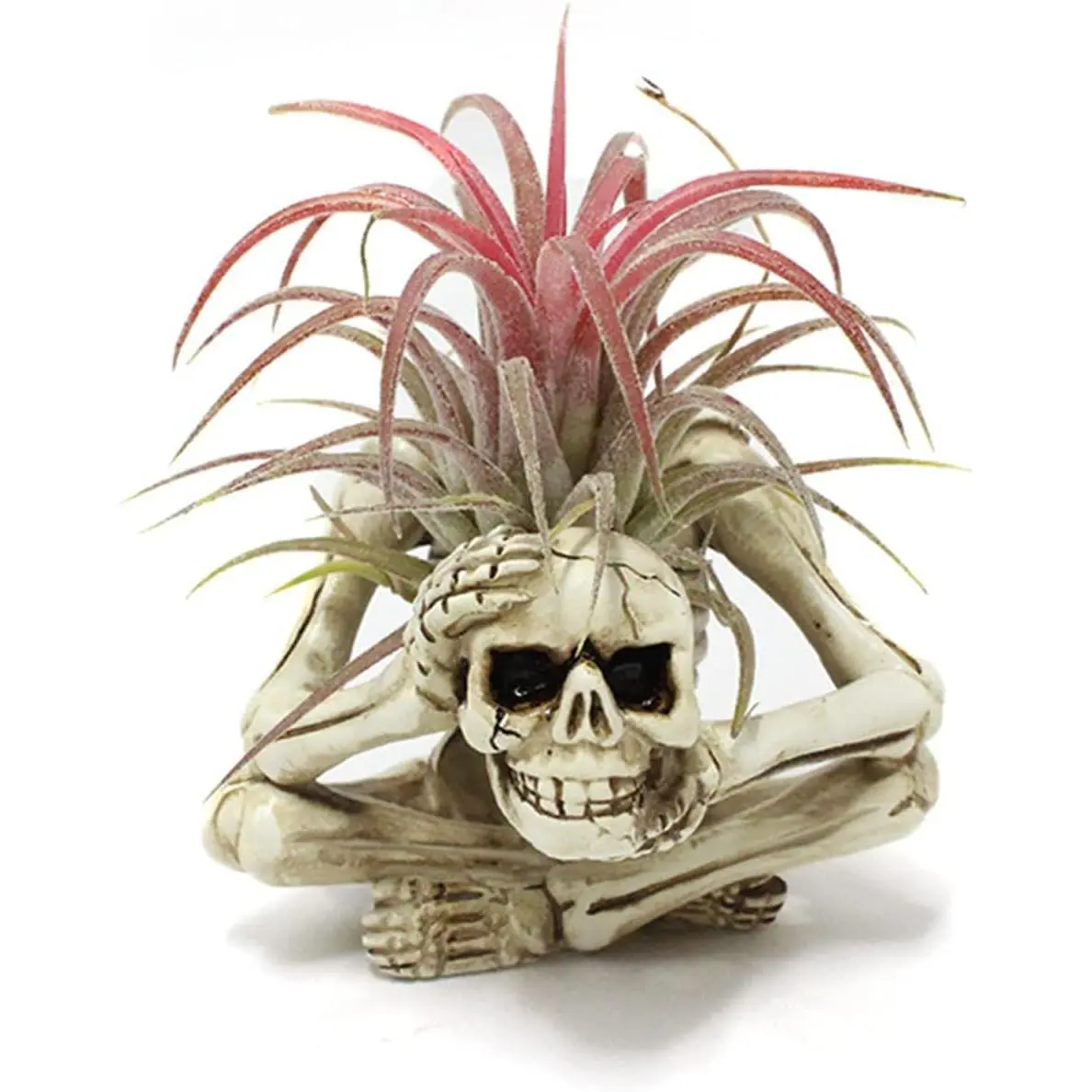 Resin Air Plant Holders,Tilandsia Container,Gothic Skeleton Planter,Halloween Plant Pot,Tillandsia Pot, Skull Table Top Display Planters for Air Plants and Other Mini Plants