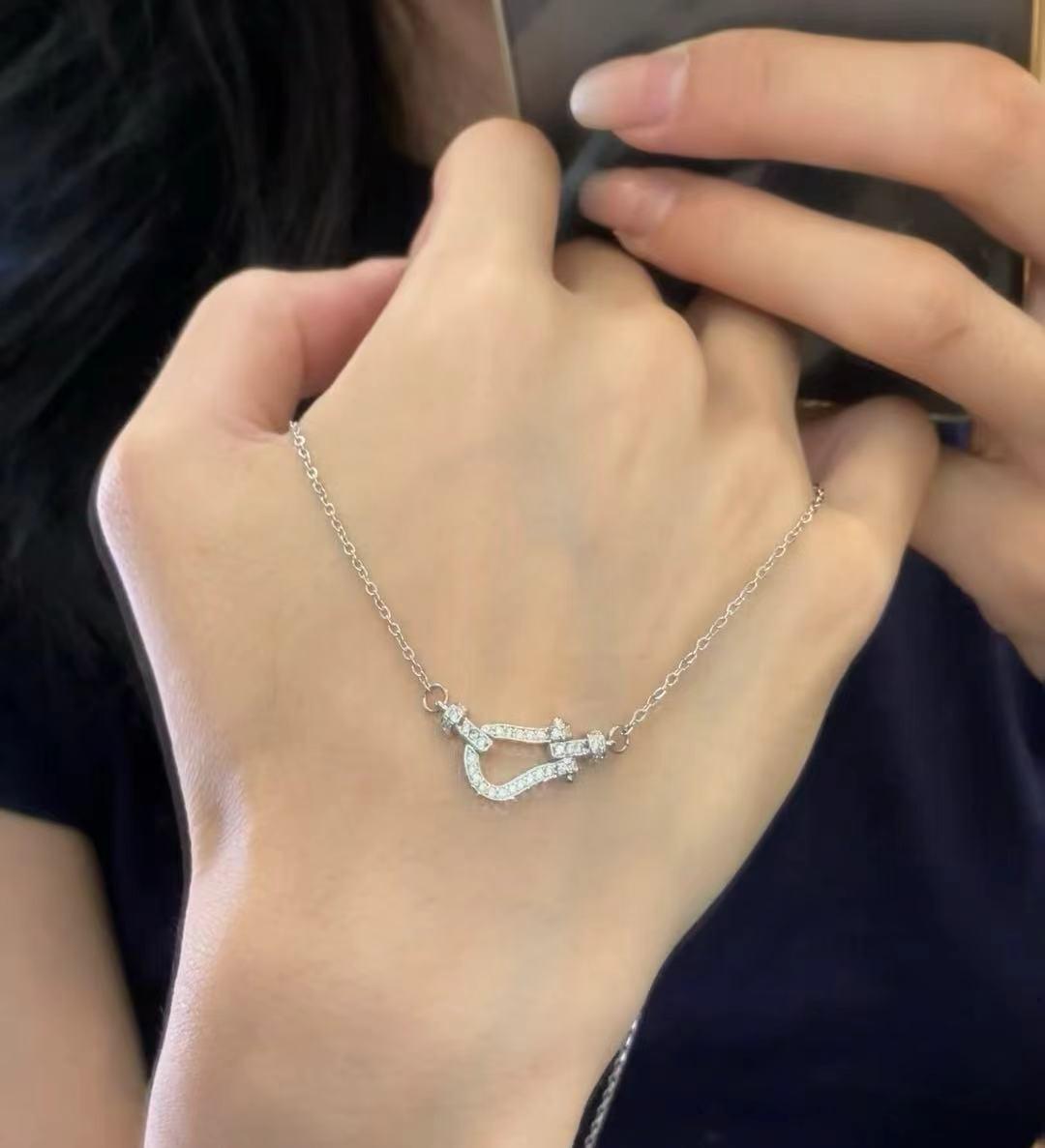 This is a popular European and American horseshoe buckle necklace that is versatile for women, exuding a sense of high-end sophistication. It features a slightly inlaid, niche, and luxurious heavy industry collarbone chain