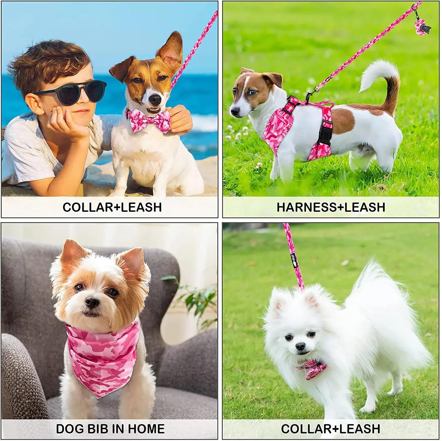 Dog Harness Suit Include Vest Harness Collar Leash Handkerchief Scarf Poop Bag Accessories for Pet Cat Dogs Supplies Set  Dog Accessories