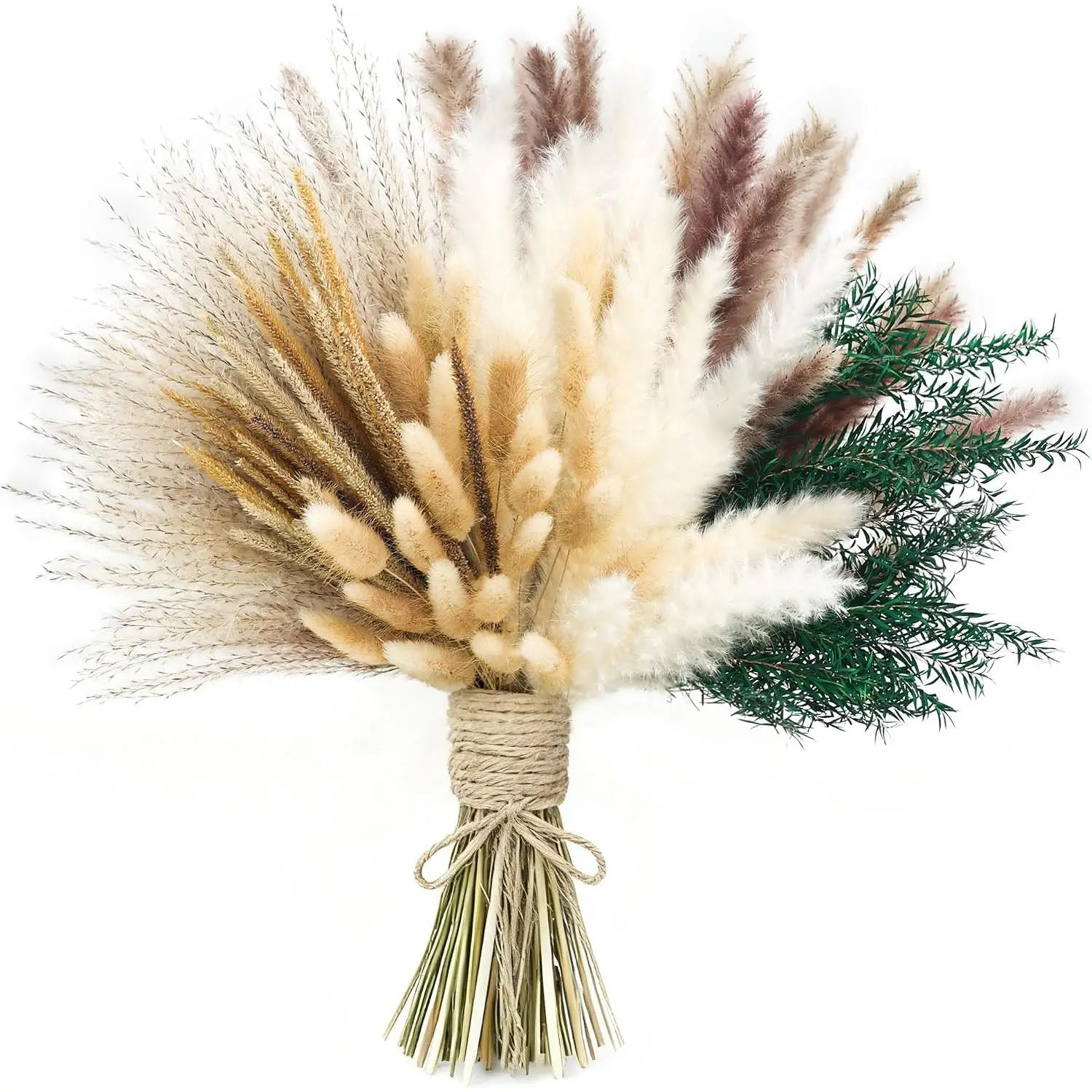 100 count Pampas Grass (Vase Not Included), Dried  Bouquets, Wedding Table Decor, Bedroom, Rustic Farm Decor.(Green)