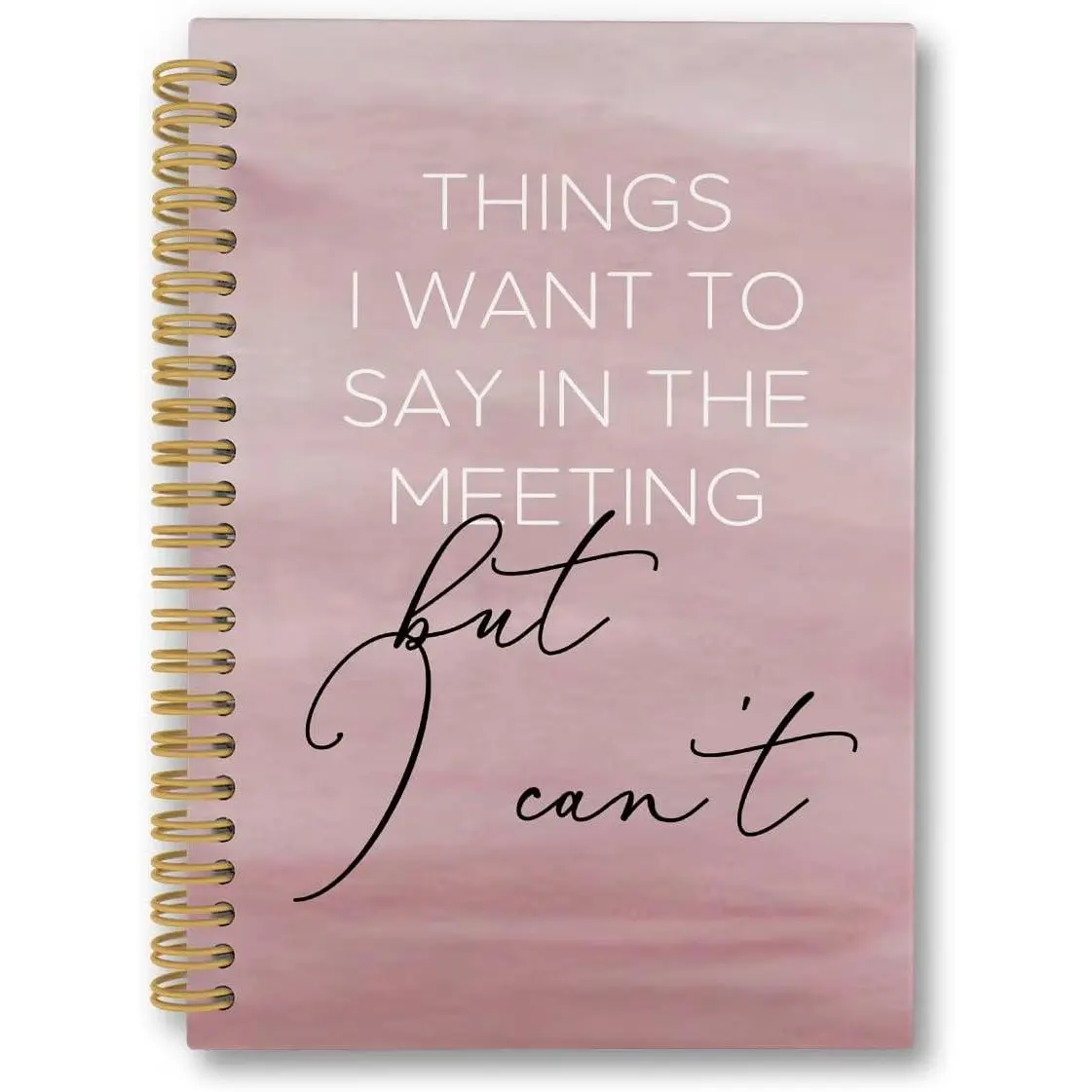 Funny Office Spiral Notebook, Sarcastic Gag Journaling Notebooks, Things I Want To Say In the Meeting But I Can't College Ruled Spiral Notebook for School Office Supplies, 5.5x8.3 Inches