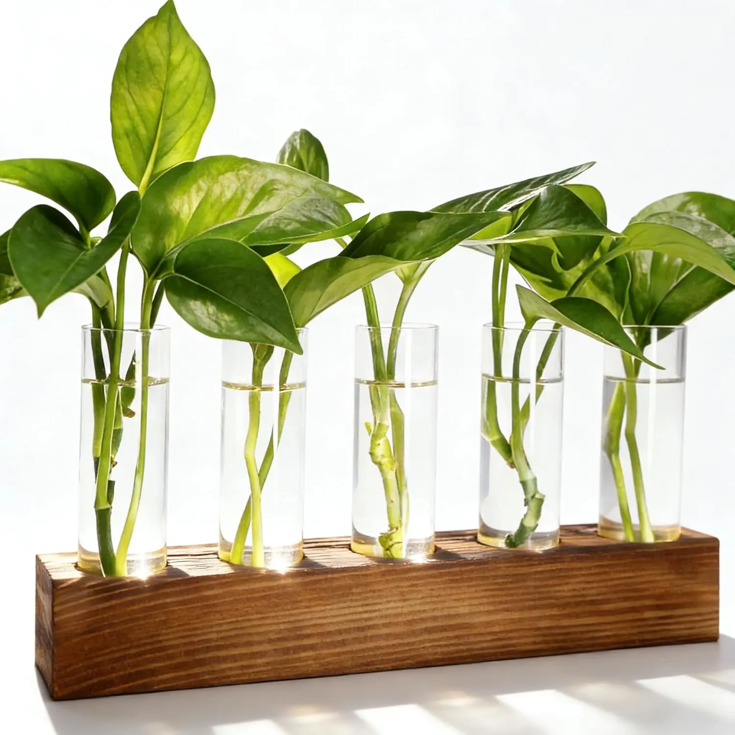 Propagation Station,  Terrarium with Wooden Stand |  Pots for Hydroponics, Small Birthday Gardening Gifts for Women Mom  Lovers  - 5 Glass Test Tubes Vases