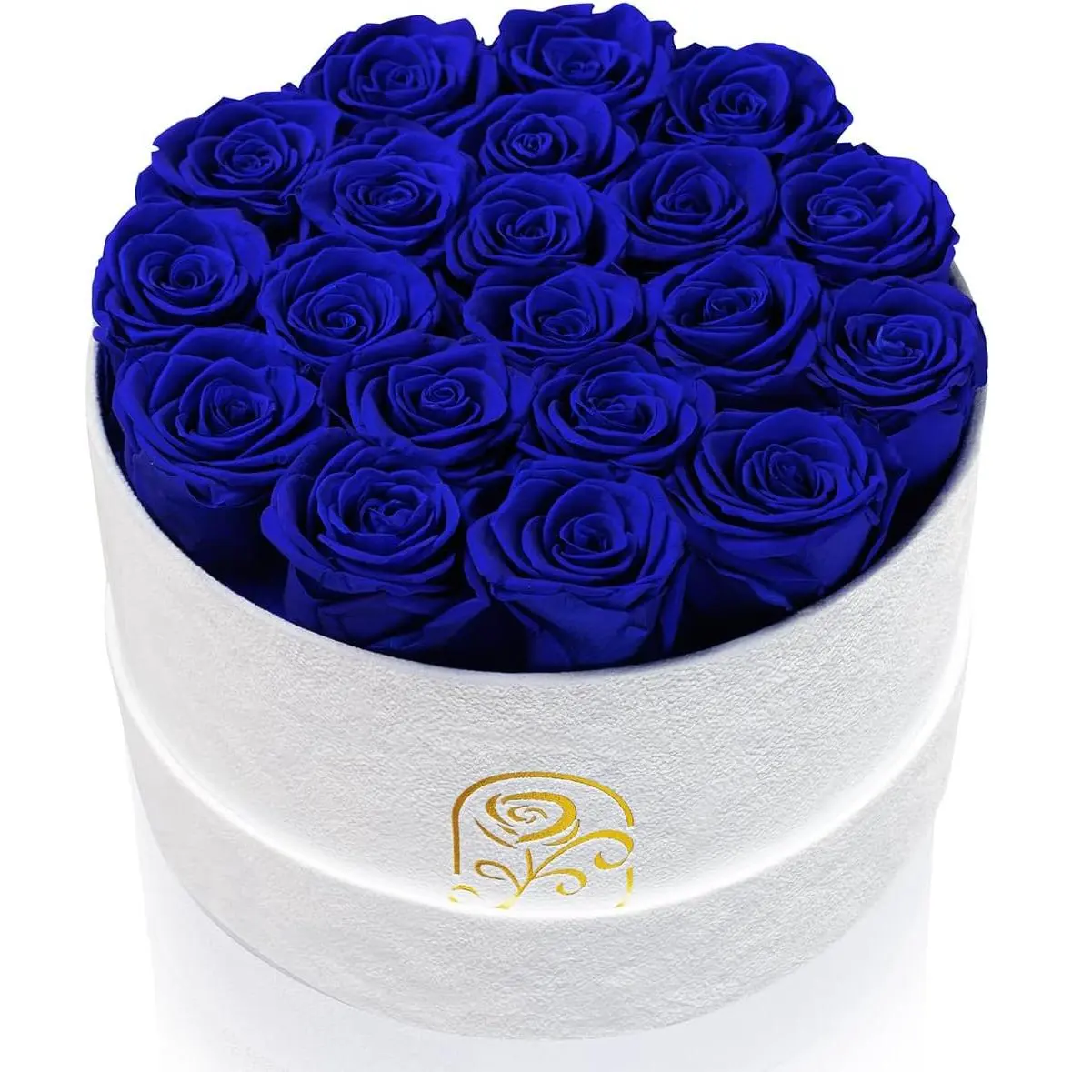 Gifts for Women Preserved Roses Flower Box, Luxury Velvet Box with 20 Roses, Romantic Gift for Her, Wife, Girlfriend, Birthday Anniversary Christmas (Royal Blue)