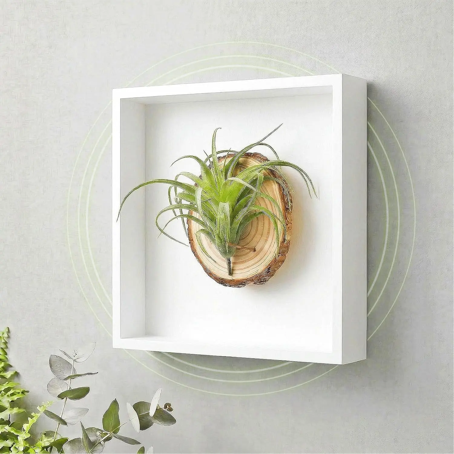 arscent Faux Air Plant Bathroom Wall Decor with Scent Stone Diffuser, Decorative Air Freshener, 3D Botanical Wall Art for Bedroom, Entryway & Small Spaces, Green Tillandsia Ionantha