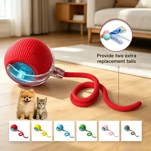 Interactive Automatic Rolling Pet Ball Toy With 2 Extra Replacement Tails, Rechargeable Electric Teaser Toy For Indoor Cats & Small Dogs