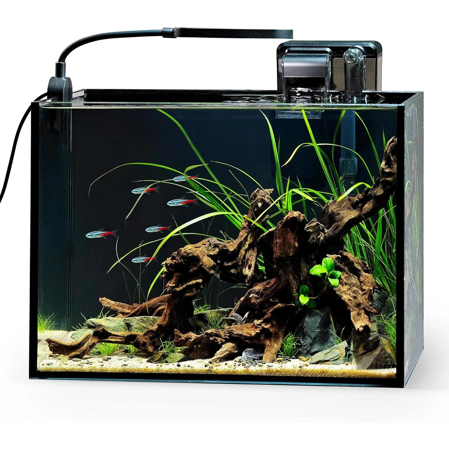 2.5 Gallon Aquarium Kit, Ultra-Clear Rimless Desktop Fish Tank with Light and Filter, Perfect for Small Fish, Shrimp or Betta