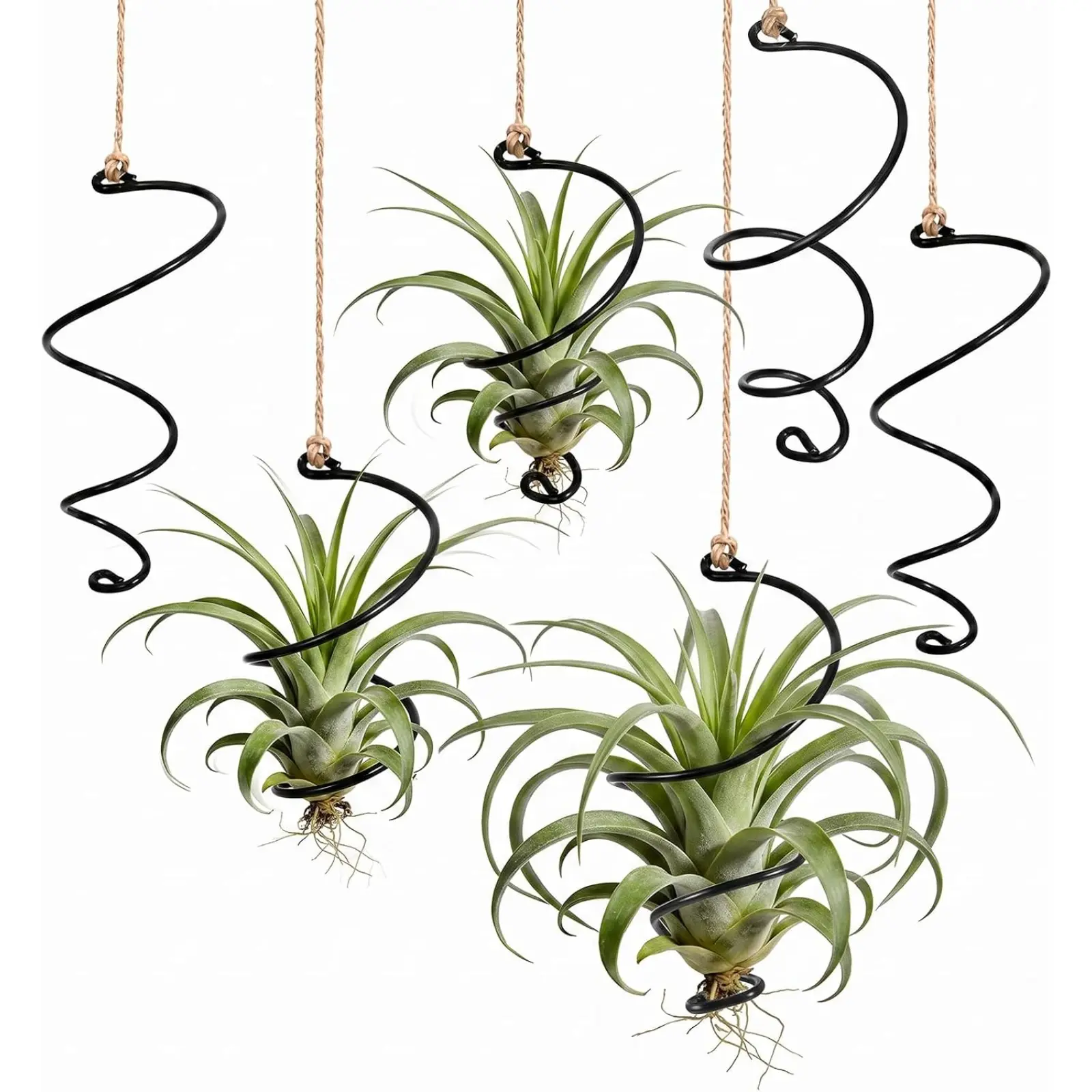 6 Pack Hanging Air Plant Holders - Spiral Metal Air Plant Hanger with Jute Ropes, Rust Resistant Tillandsia Succulent Stand for Home Office Decor