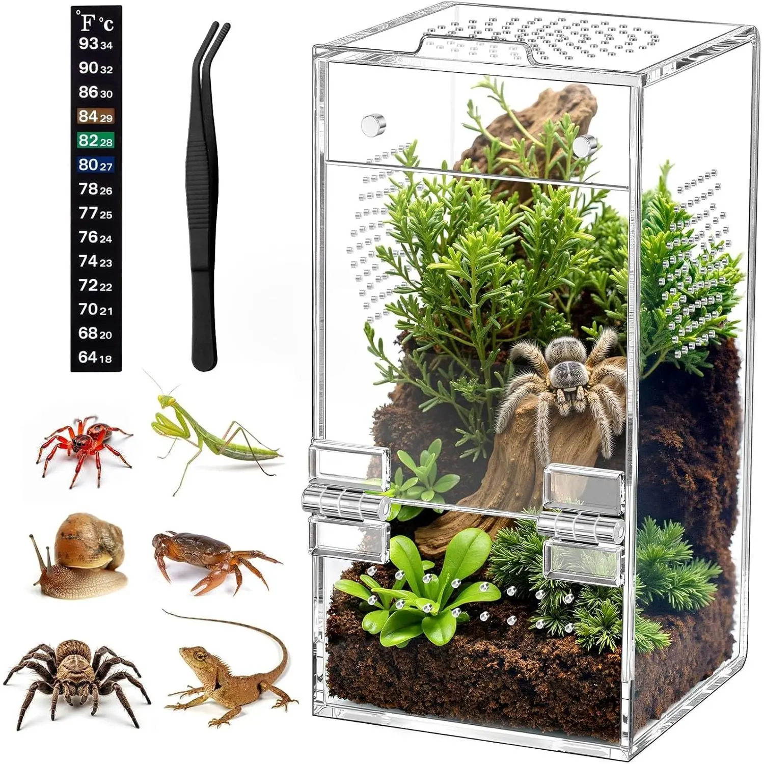 Jumping Spider Enclosure, Pre-Assembled Acrylic Terrarium with Magnetic Door, All-Side Ventilation, 3.5"×3.5"×7" Space (Tweezer & Temp Sticker Included) for Spiderling, Mantis