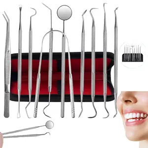 10 Pack Stainless Steel Dental Tools Kit, Professional Plaque & Tartar Remover Oral Care Set, Multi-Functional Tooth Cleaner, Tartar Pick and Tongue Scraper, Dental Hygiene Tools for Dentist Personal Family Daily Oral Care