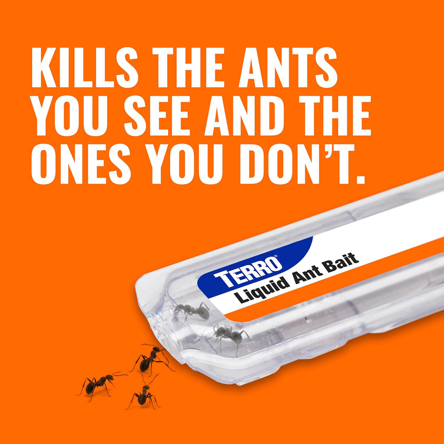 Terro Ant Killer Bait Station T300b, Effective Indoor Ant Control, Liquid Bait Eliminator, Quick-Acting Ant Trap Solution, 6 Count Stations