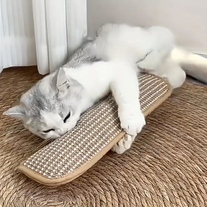 Cat toy pillow, bite resistant, self entertaining, cat scratch pad, cat toy