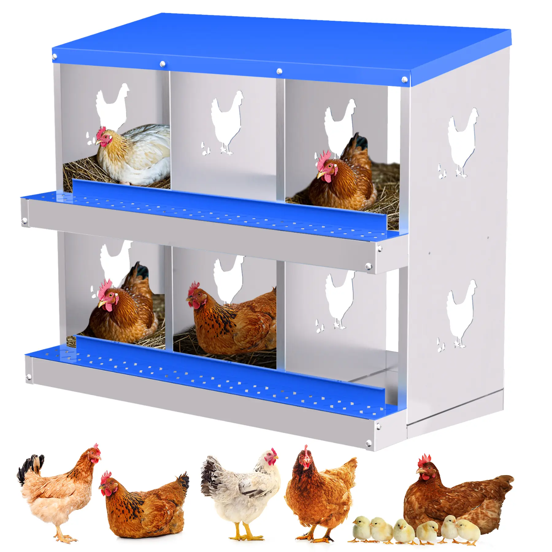 6 Compartment Chicken Nesting Boxes with Detachable Lid, Roll Out Egg Collection Metal Laying Boxes Labor-Saving for Installation and Daily Cleaning, Without Bracket