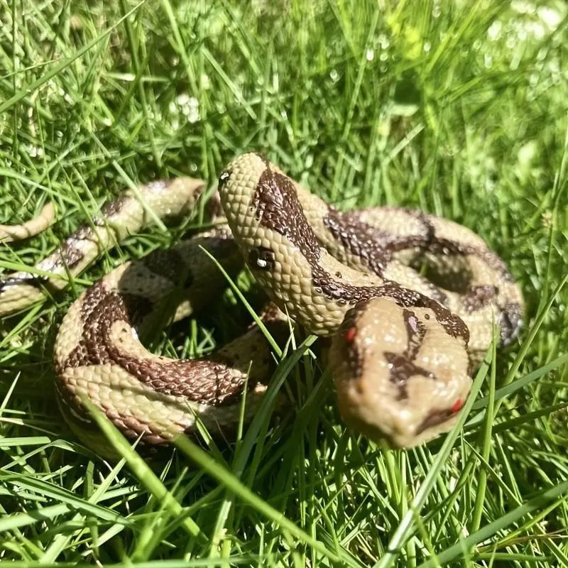 Realistic Large Python Animal Model, Wildlife-Inspired Design, Perfect for Collectors and Educational Use, Ideal for Halloween and Festive Decorations