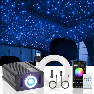 Twinkle Headliner  Light Kit 500 count*0.03in*9.8ft Fiber Optic Lights | APP/Remote Control, RGBW Sound Activated,  Mode, For  Roof  Ceiling