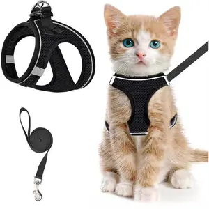 Breathable Reflective Pet Harness with Leash, Escape Proof Walking Vest for Cats & Small Dogs, Comfort Outdoor Walking Accessory for Daily Pet Outings