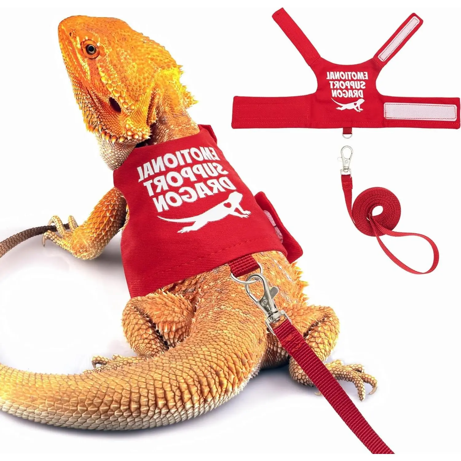 Bearded Dragon Harness and Leash Set, Escape Proof Reptile Vest, Adjustable Lizard Harness with 5 ft Short Leash for Outdoor WalkingGift