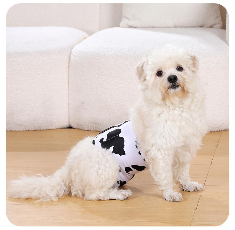 2pcs Elastic Male Dog Belly Bands - Reusable Cloth Underwear - Cute Cartoon Washable Dog Diapers for Potty Training & Anti-Lifting