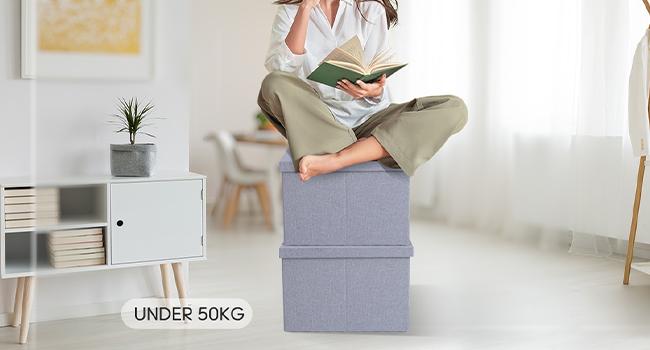 File Organizer, File Box, File Cabinet for Letter File Folder Storage, Hanging File Organizer for Office/Decor/Home, Document Organizer, 1 Pack, Gray