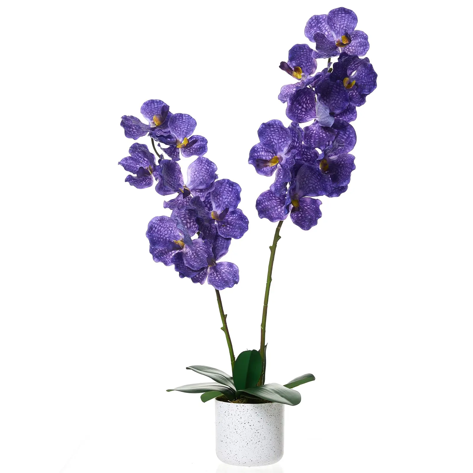 Lifelike Real Touch Artificial Orchids & Magnolias in Pot. 23.6" Tall Faux Plant. White & Purple Silk Flowers. Maintenance-Free Greenery for Home. Office. Wedding Centerpiece Decor