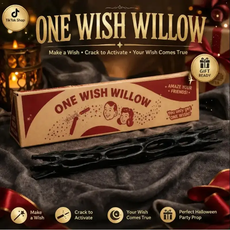 One Wish Willow Box and Stick, Fantasy Wand Toy Prop for Party Display | Fantasy one wish willow stick with box for pretend play, party favors, themed photos, cosplay scenes, and collector displays, Halloween Magic Wish Stick Novelty Gag Gift Party Prop