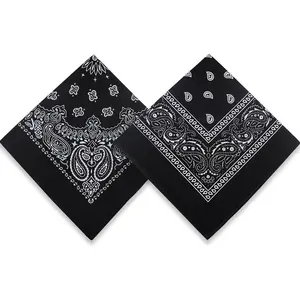 2 Pack Types of Paisley Pattern Bandanas, 22x22 Inches Cotton Bandanas Handkerchief Face Mask for Men & Women
