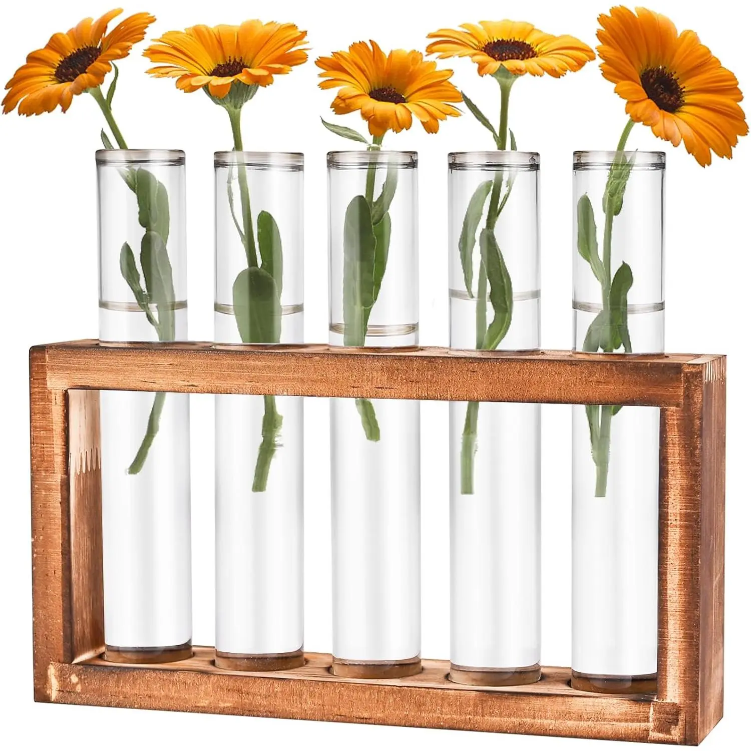 5-Test Tube Desktop Glass Plant Propagation Station with Wooden Stand - Hydroponics Vase, Office Decor, Window Garden Pot Terrarium