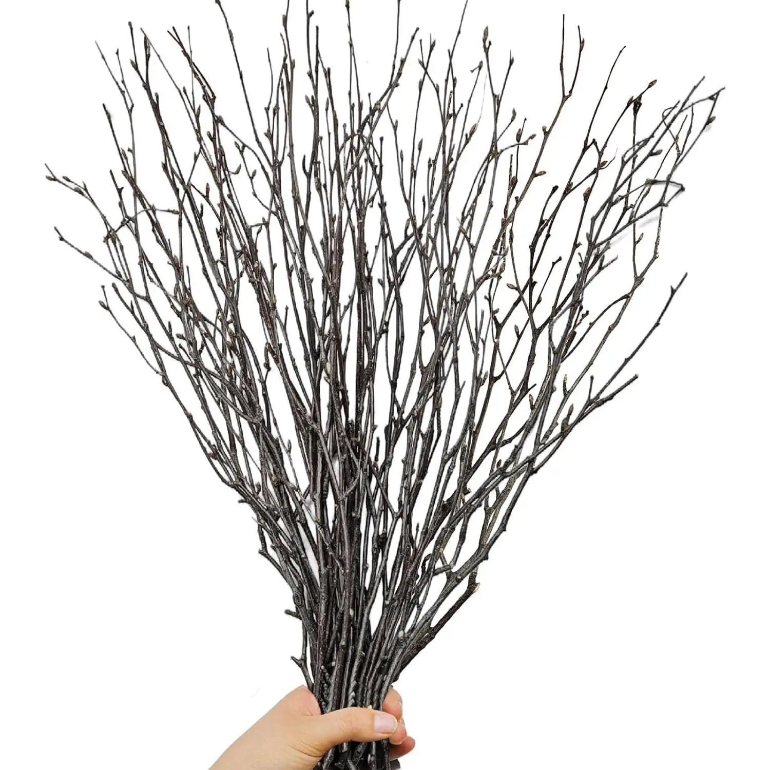 30Pcs Real Dried Birch Twigs - 16" Decorative 100% Natural Birch Branches |       Easter Vases, Curly Willow Branches, DIY, Floral Arrangement, Twig Wreath, Centerpiece, Rustic Home Decor