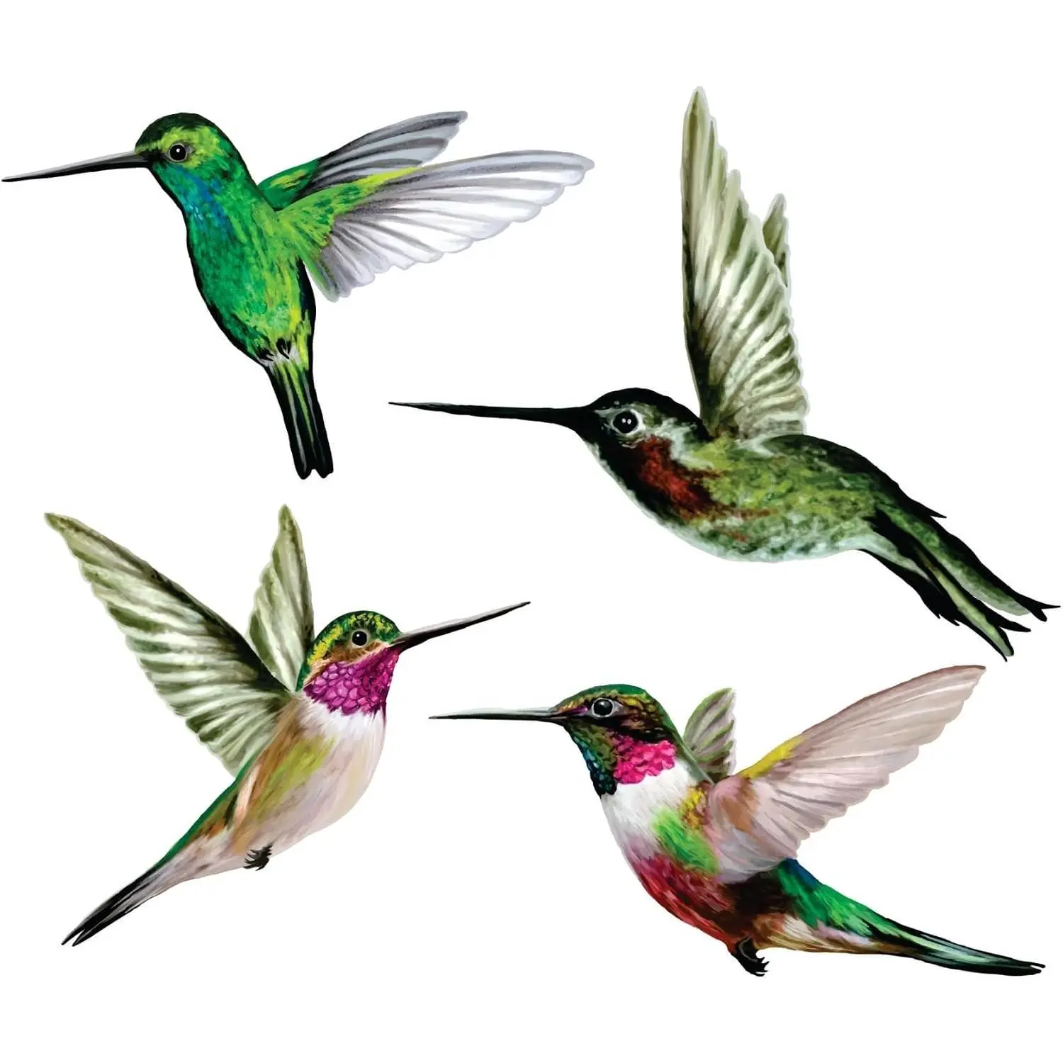 4-Pack Realistic Multi-Color Hummingbird Window Clings - Anti-Collision Vinyl Print Decor Stickers for Glass Safety, Room Use - Static Cling, Double-Sided, 100% Reusable, Made in USA