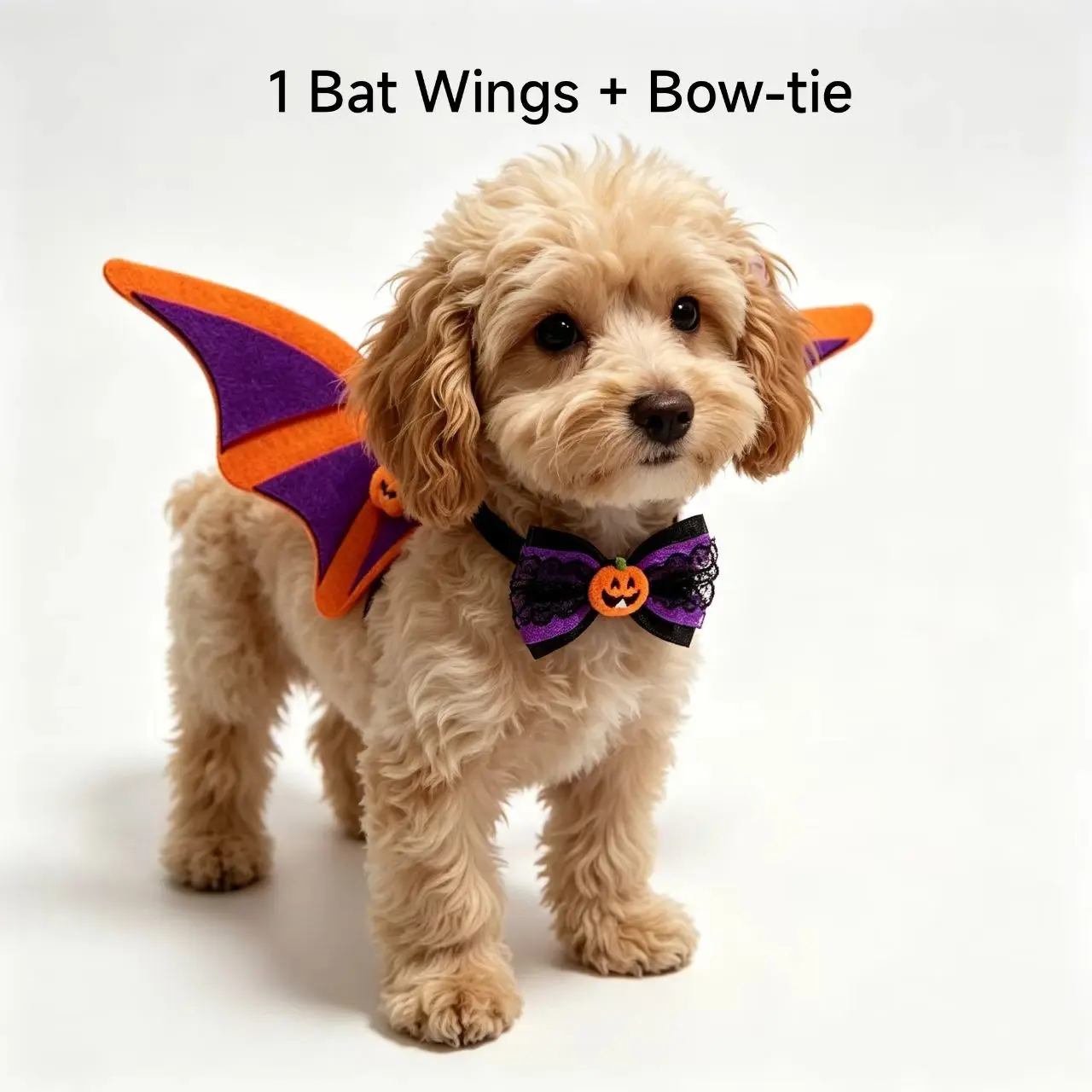 Halloween Pet Costume Set, Puppy Costume, Bat Wings + Pumpkin Bow Tie, Fits Small Dogs Cats, Perfect for Party Photos, Cute and Fun Halloween
