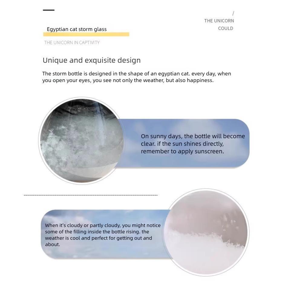 Forecast Anderson Storm Birthday Gift Factory Wholesale Egyptian Cat Weather Bottle