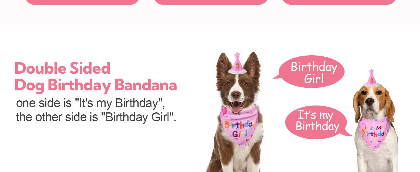 Dog Birthday Decorations, Dog Birthday Hat with Numbers for Large Medium Small,Pet Supplies (Pink)