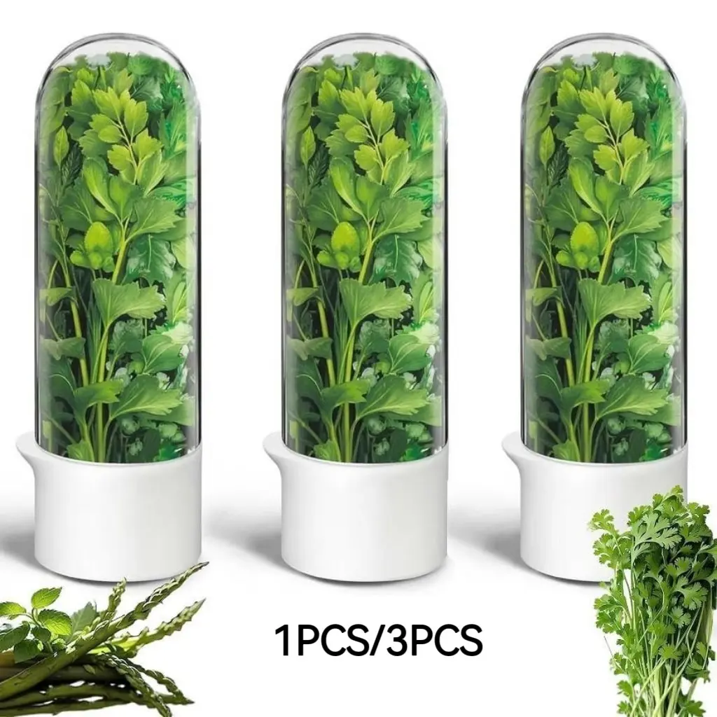 Large Refrigerated Herb Keeper Box, Freshness Preserver for Cilantro, Parsley, Asparagus, Mint, Vegetables, 2-3 Weeks Storage, Kitchen Organizer
