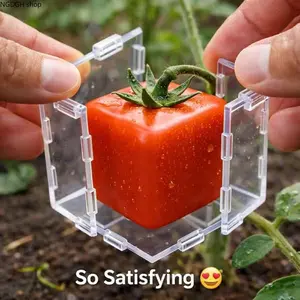 Transparent Plastic Fruit Shaping Mold, Cube & Triangle Shapes Reusable Growing Case, Snap-On Design for Tomato Pear Apple Shaping, Perfect for Home Garden Planting, DIY Special Shaped Fruits & Backyard Farming Projects