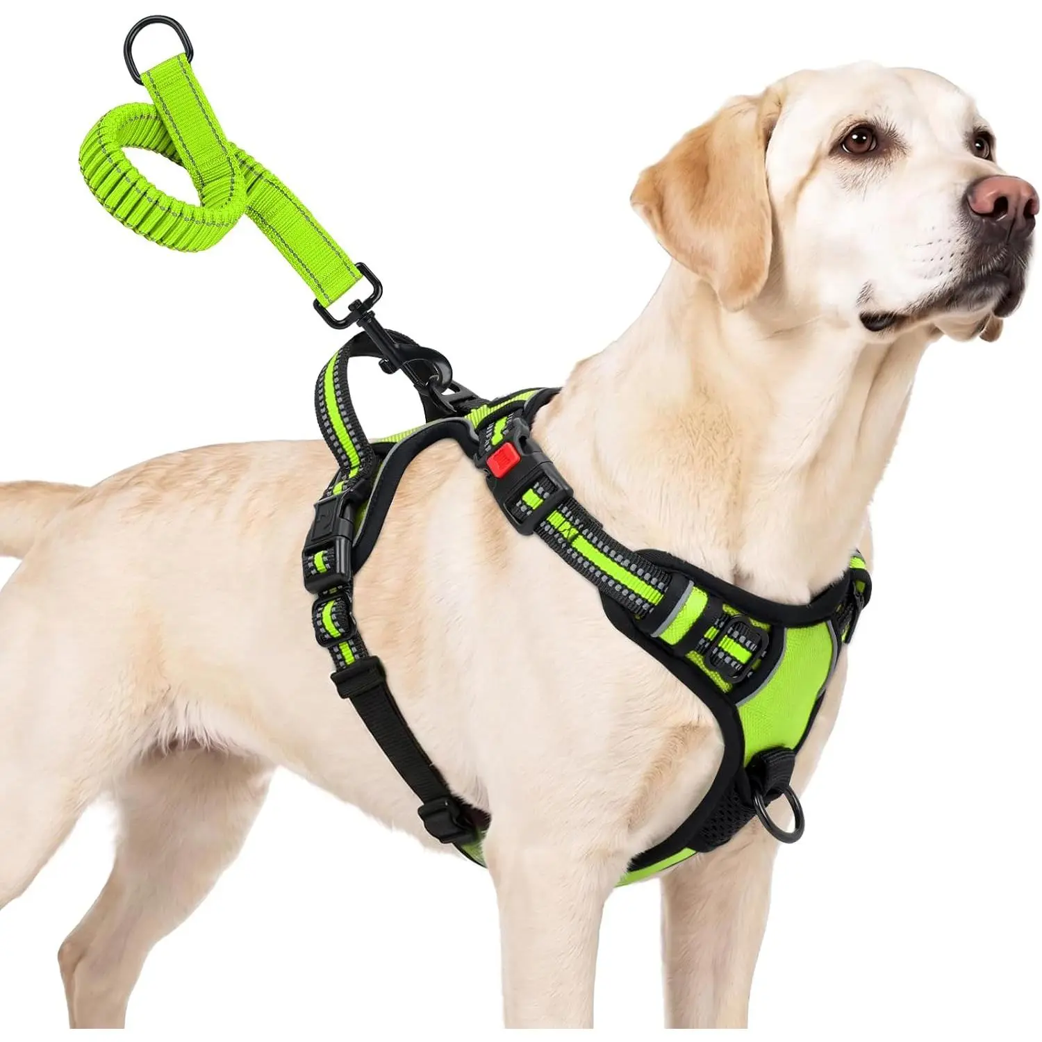 Taglory No Pull Dog Harness for Large Dogs, Bungee Extension, Lime Green, L| 3-Buckle No-Overhead, Front and Back Clips Stops Pulls, Padded Handle for Hiking Control, Bungee Saves Arm, Reflective Safety