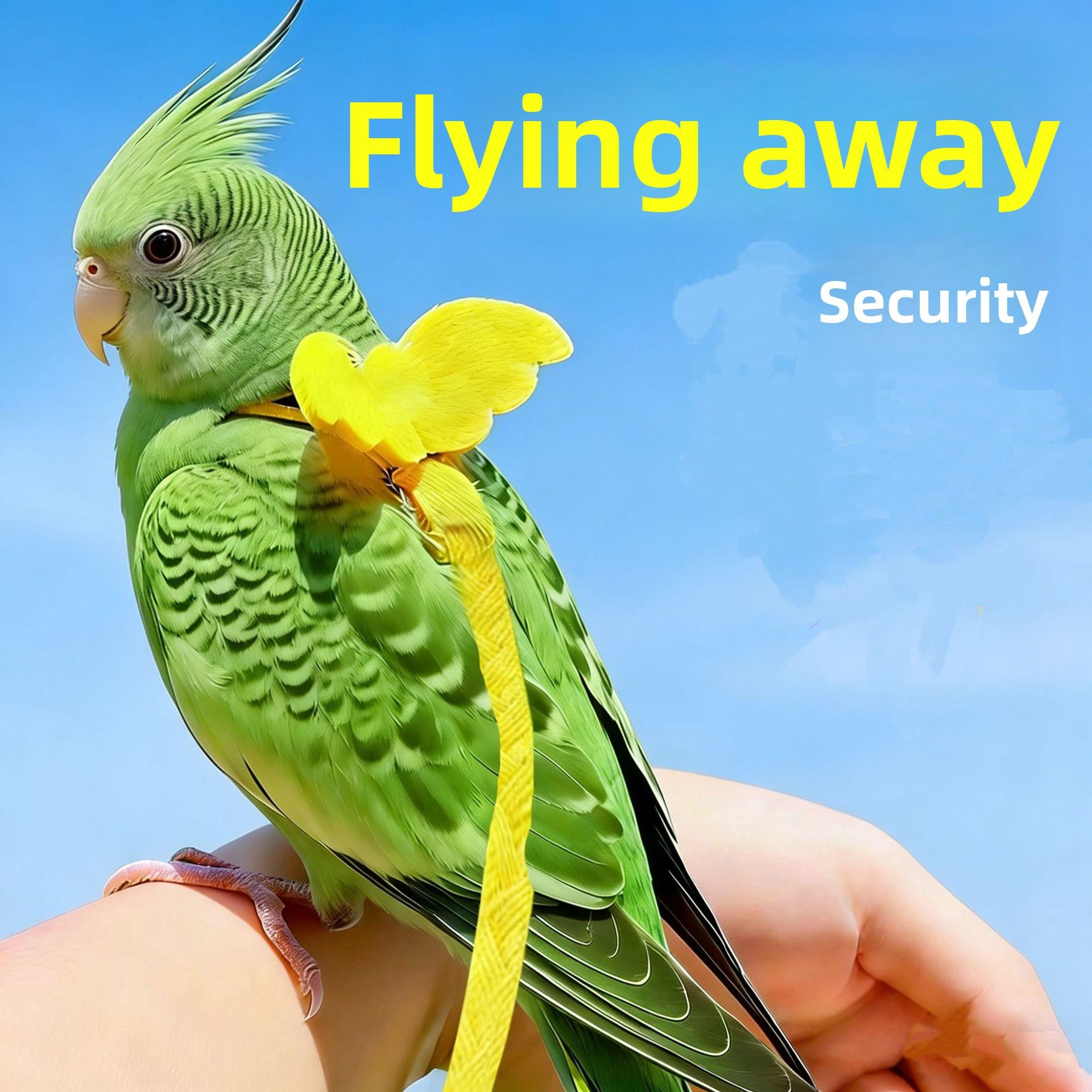 Parrot Leash for Outdoor Training Lightweight No-Foot Injury Bird Harness
