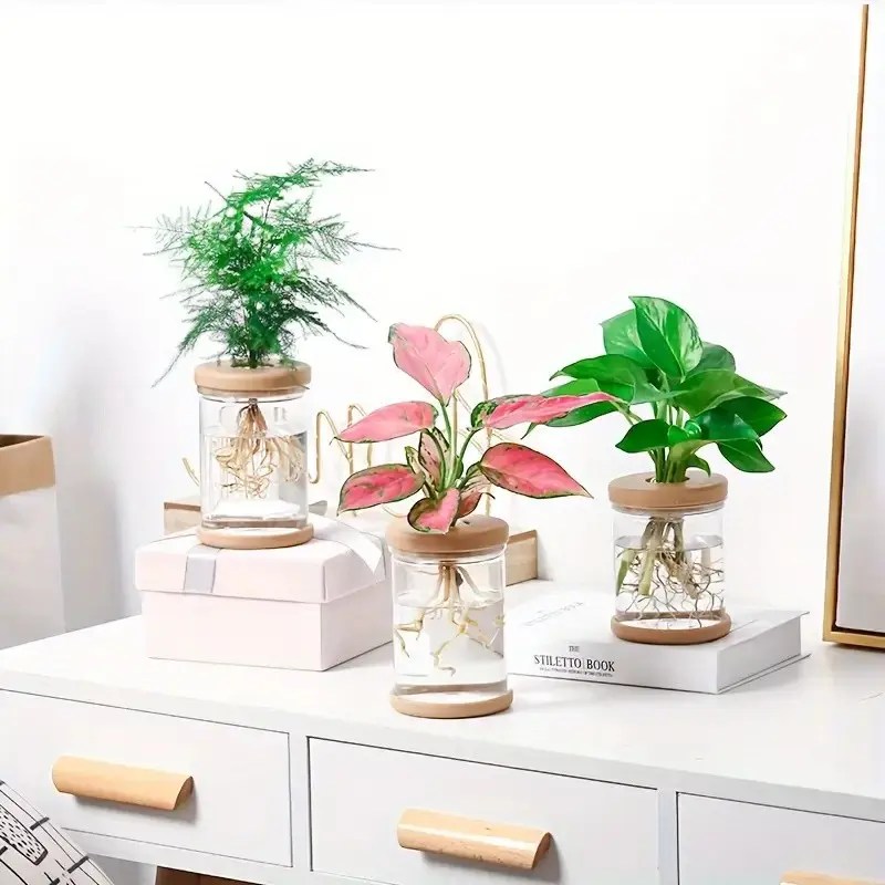 Transparent Hydrophilic Glass Planter, Soil-Free Plant Pot, Greenery Decorative Vase, Home Garden Ornament, Single Piece