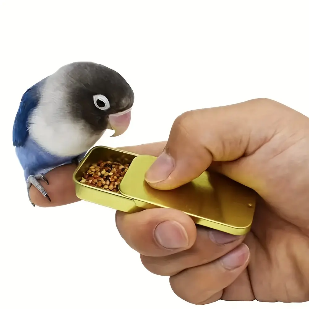 Pet Bird Training Kit Handheld Feeding Bowl And Training Whistle Taming Interactive Feeder For Parrots Small Pet Birds