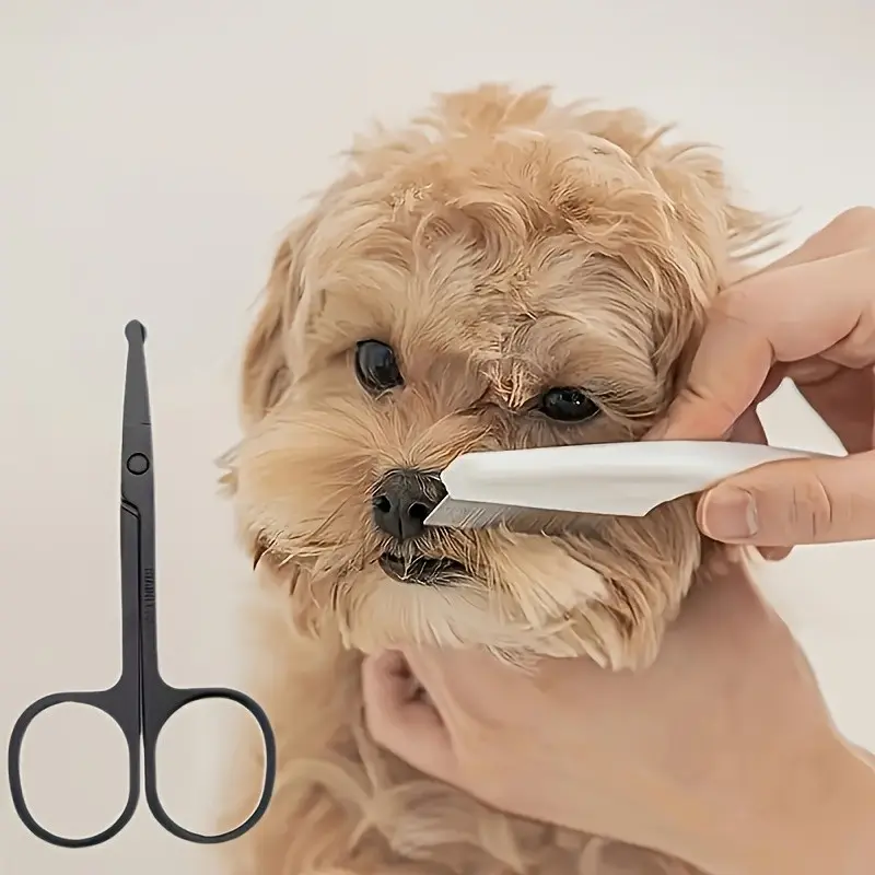 Pet Grooming Kit with Scissors and Comb, Round Head Design for Safety, Effective Tear Stain Removal, Essential Pet Care Tool