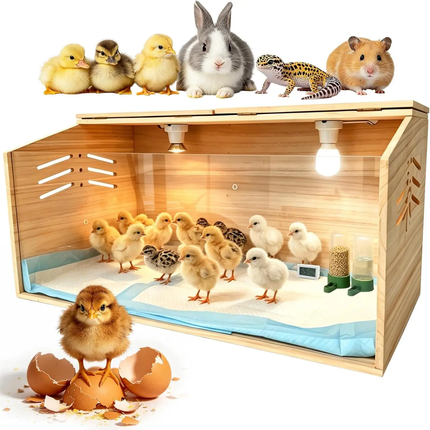 Chicken Brooder Box Starter Kit for Chickens/Quails - Adjustable Temp, Heat Regulation, Easy Monitoring, Feeder, Waterer, Floor Pads, Brooder Kits