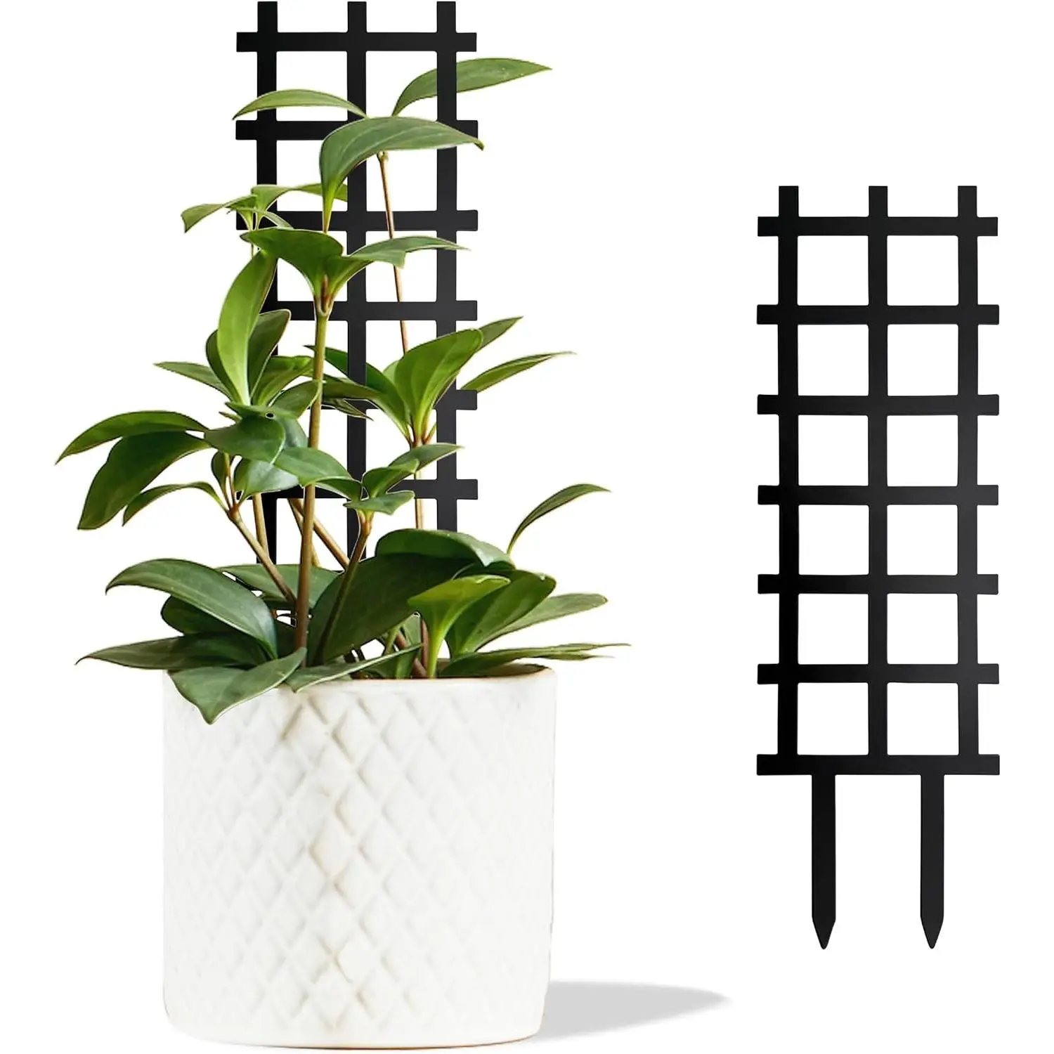 Metal Ladder Indoor  Trellis,14.96 inch Metal  Trellis for Climbing  Indoor.Rustproof House  Support for Pothos Hoya Ivy Flower