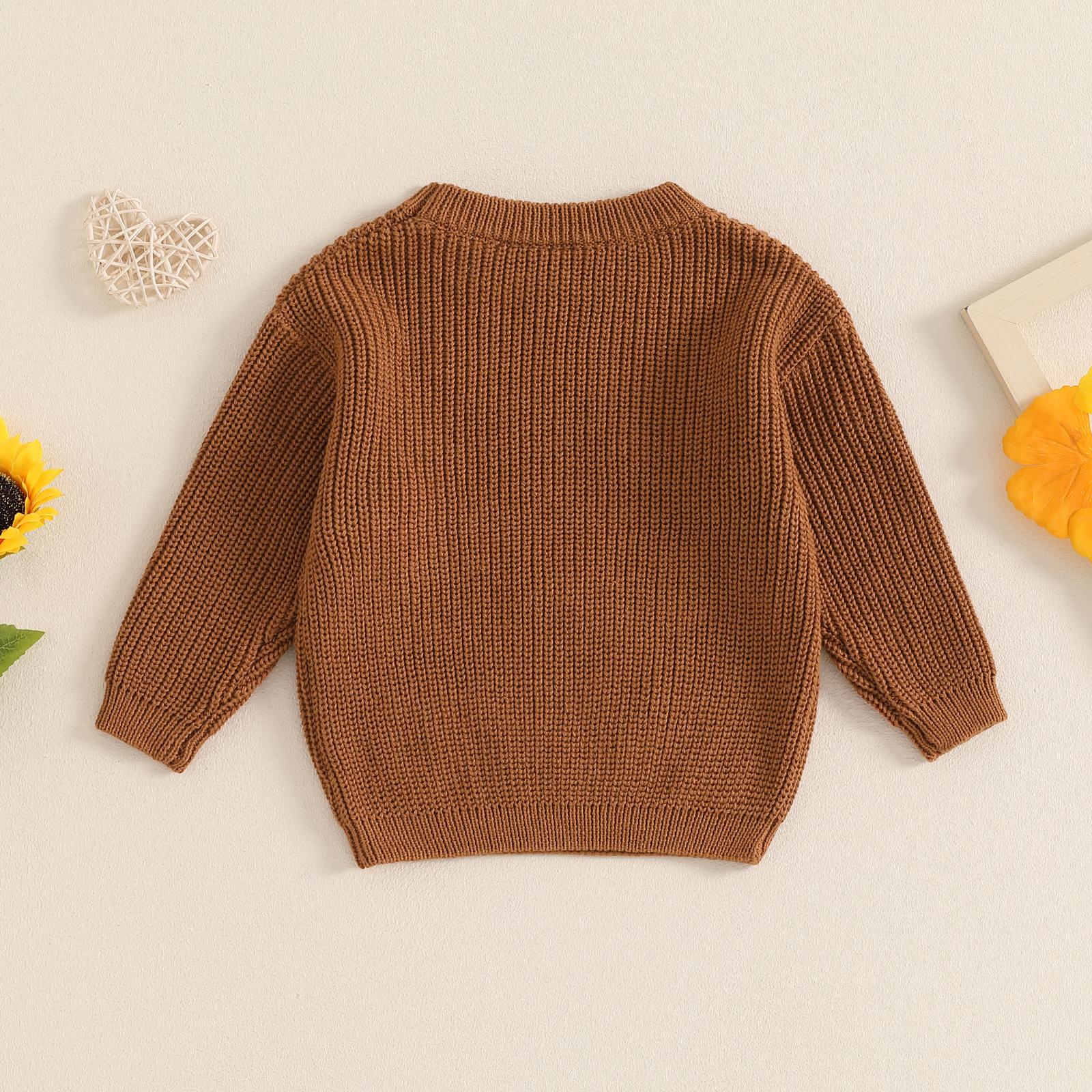 Toddler Baby Girl Knit Sweater Blouse Pullover Sweatshirt Flower Embroidery Warm Long Sleeve Tops 0-5 Years Toddler Baby Girl Knit Sweater Blouse Pullover Sweatshirt Flower Embroidery Warm Long Sleeve Tops 0-5 Years