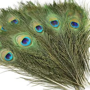 20 count Real  Peacock Eye Feathers 10-12 inch,for DIY Craft,Floral Arrangements,Wedding, and Party Decorations Feathers,