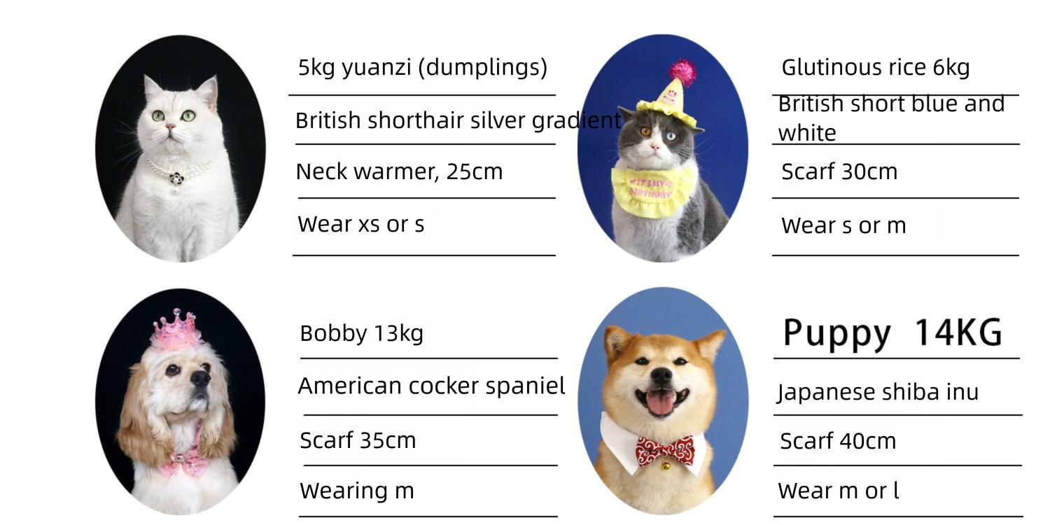 Luxury Pet Necklace: Gemstone & Crystal Chain Collar for Cats and Dogs - Full-Rhinestone, Princess-Style, Teardrop-Accent, Metal Wedding Collar