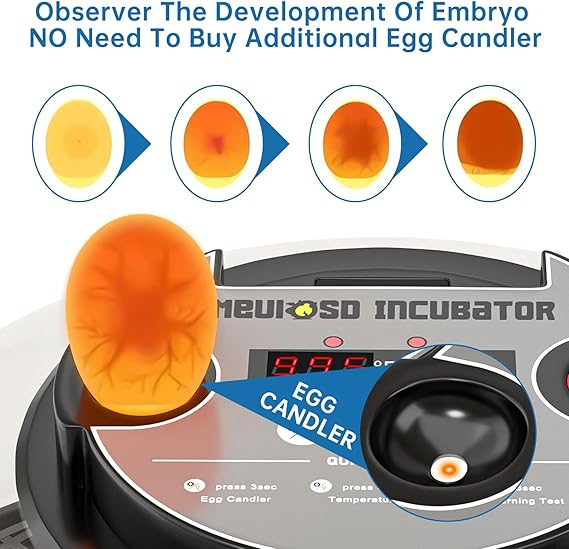Egg Incubator for Hatching Chicks, Automatic Egg Turner Holds 12 Eggs, Smart Incubator 360 °   Clear Window with Temperature Display Egg Candler for Small Poultry Chickens Ducks Quails Eggs