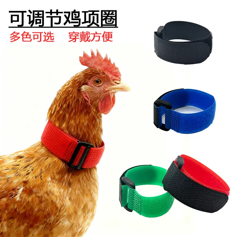 Adjustable Chicken Collar No Hook Knot Self Adhesive Anti Crowing Pet Neck Ring Small Pet Decoration Supplies