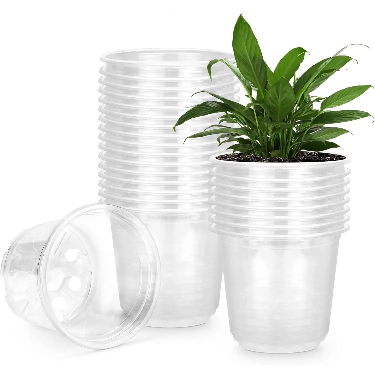 25 Pack 6 Inch Clear Nursery Pots with Drainage Holes, Flexible Plastic Nursery Pots for Plants, Reusable Garden Flower Pot, Seed Starter Pots