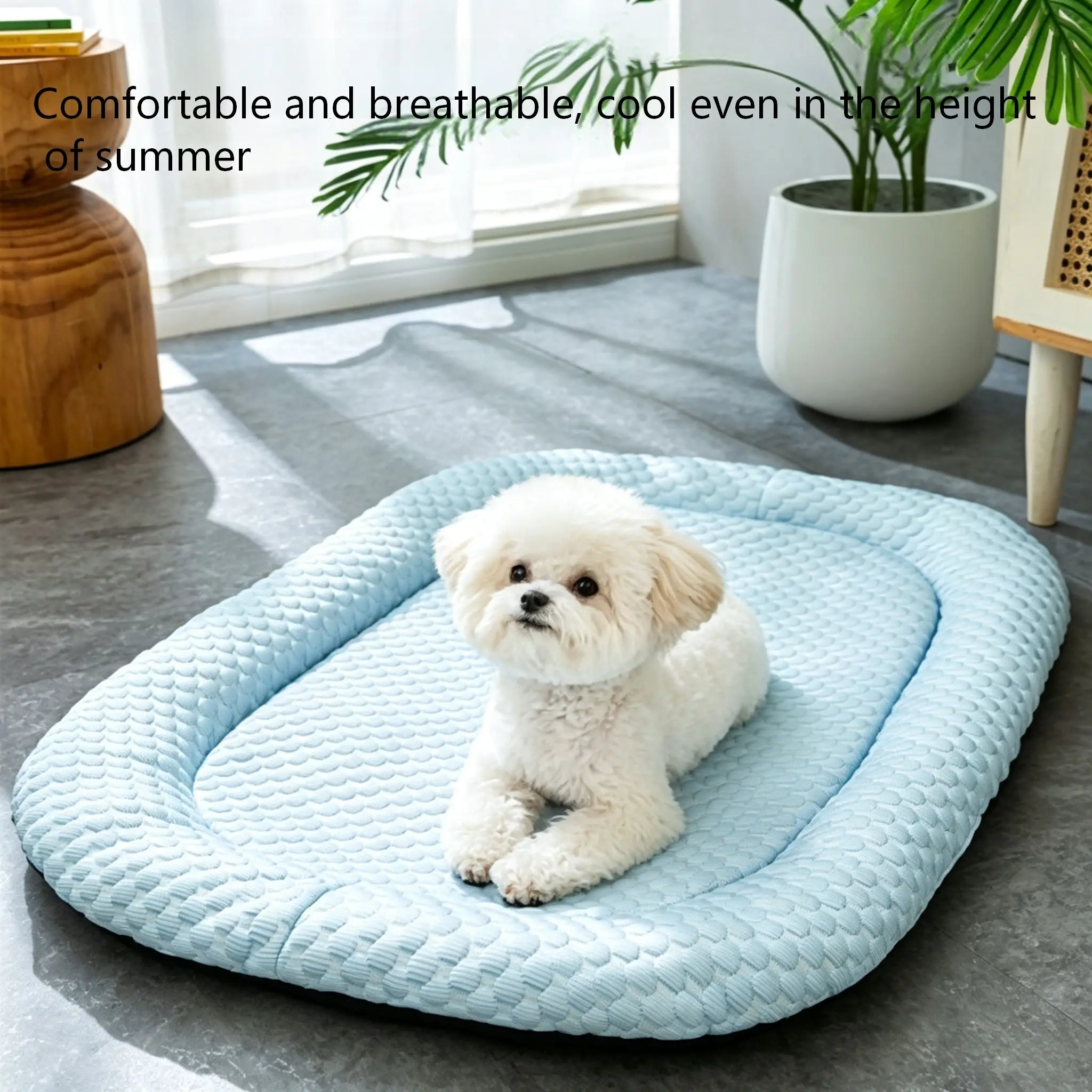 Summer Cooling Dog Bed, Soft Raised Edge Pet Mat, Non-Slip Bottom, Washable, Cool Bed for Small Medium Large Pets