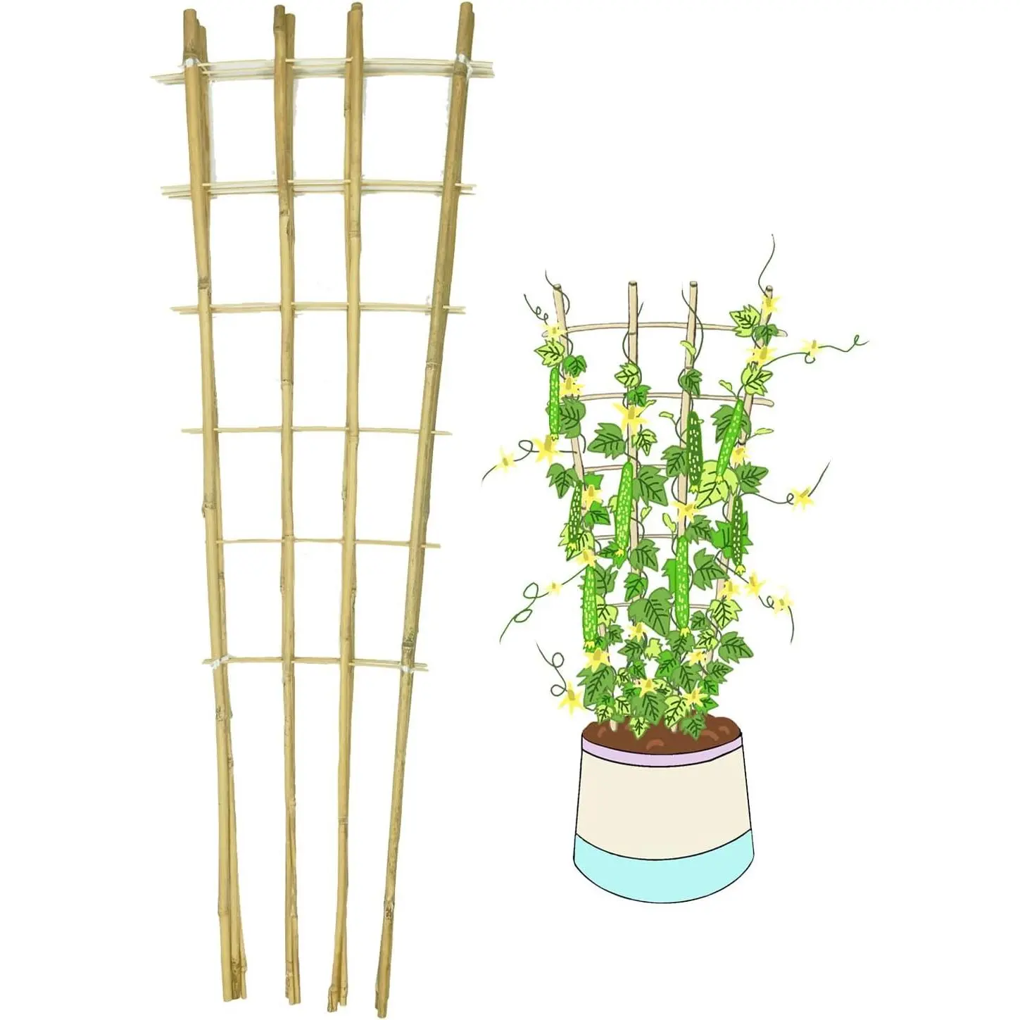 Natural Bamboo Trellis, 4Feet,3Pack,Fan-Shaped Plant Support Trellis for Outdoor and Indoor Potted Climbing Plants,Vegetables, Cucumber, Tomato, Hoya